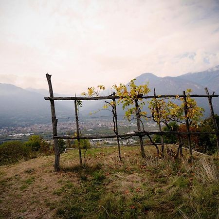 Trontano Casa Del Ceccoヴィラ エクステリア 写真